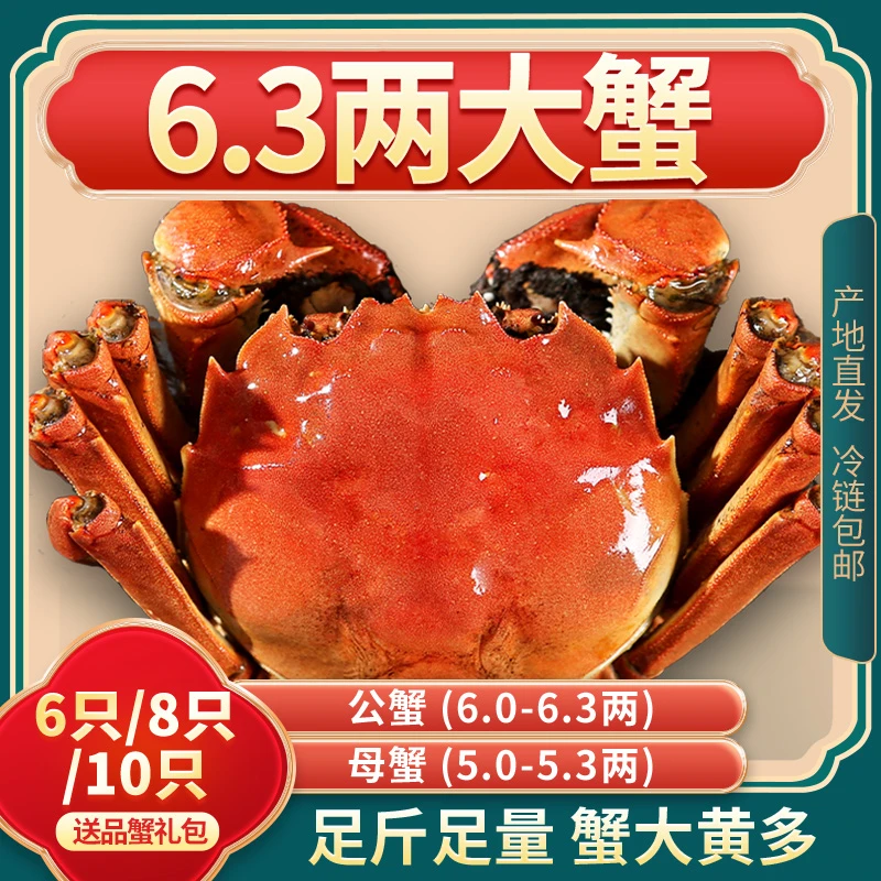 【活蟹】煌鲜尚品大闸蟹公6.0-6.3母5.0-5.3两6/8/10只礼盒装鲜活