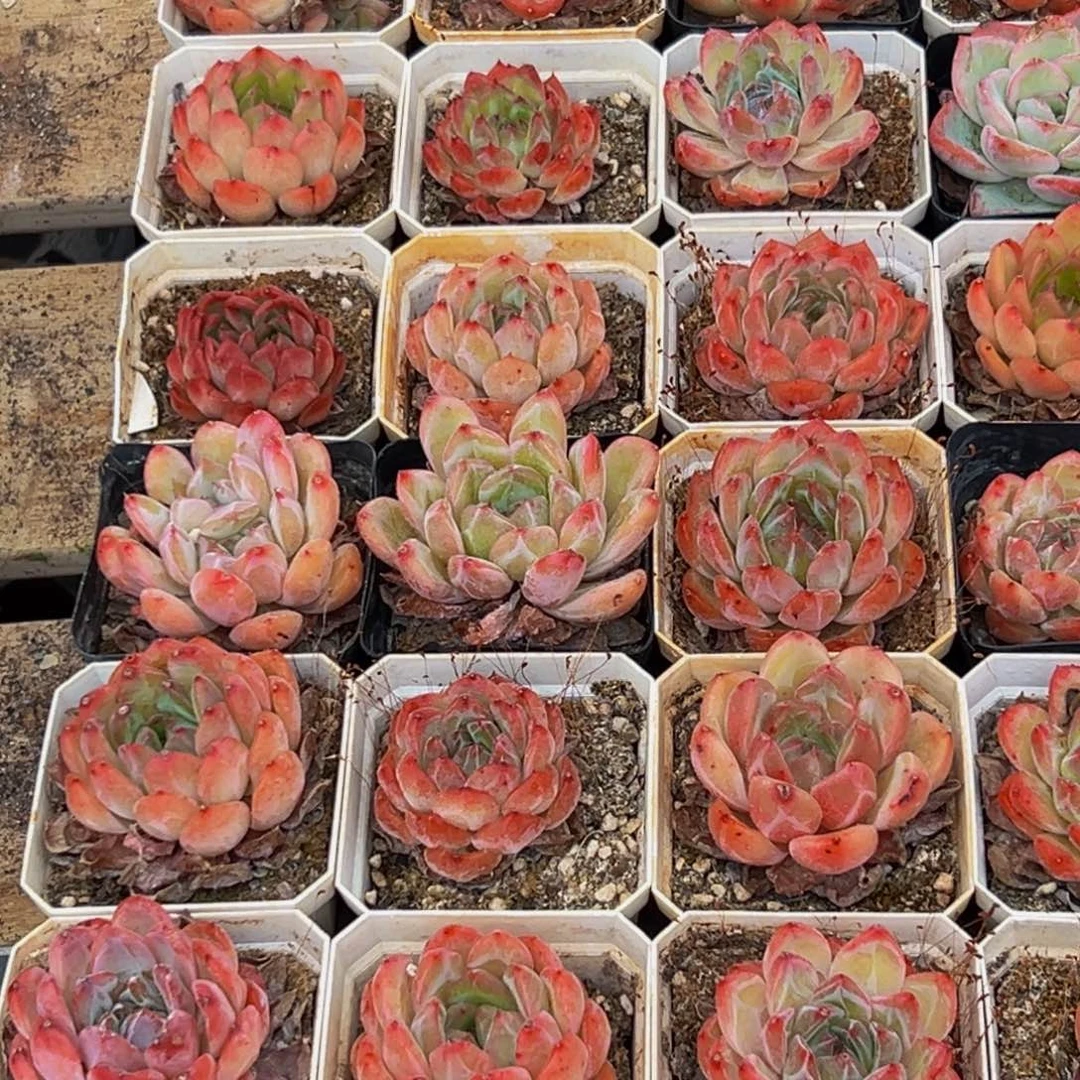 677的最后一天了啊