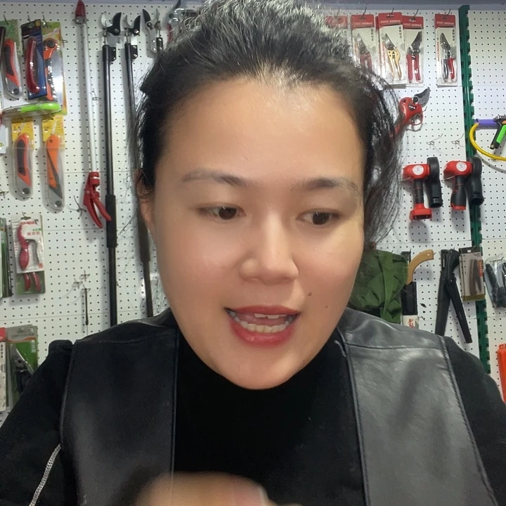 轩***园链条   导板  1根