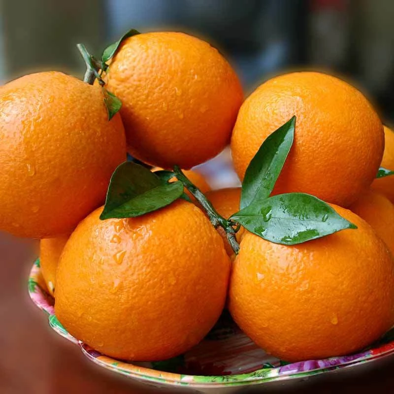江西正宗赣南脐橙新鲜应季现摘现发孕妇水果橙子5斤/10斤包邮