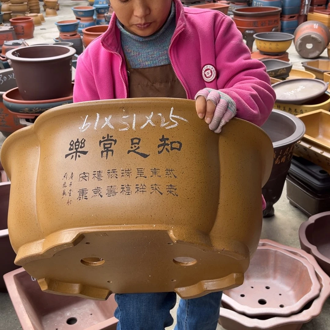 紫砂花盆盆景艺术