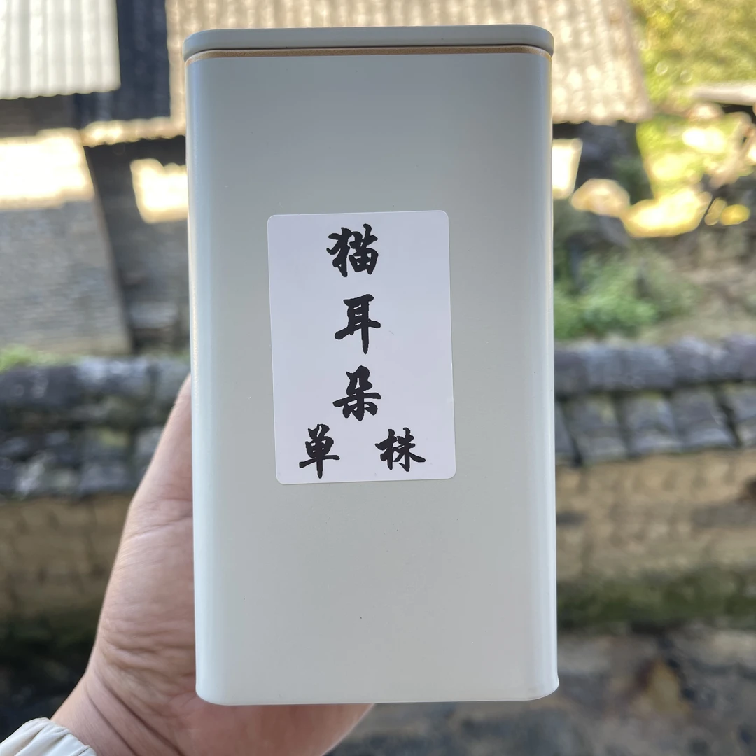 （024）2025年猫耳朵单株晒青罐装100克