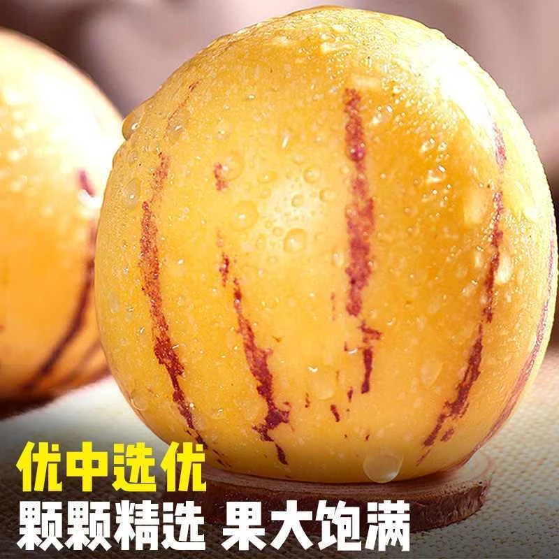 正宗云南人参果圆果黄心果大果当季应季新鲜水果基地直供人参果