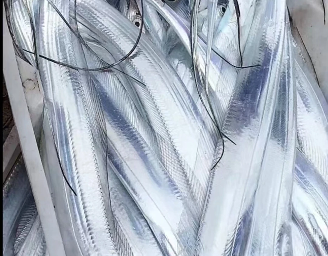 5斤新鲜速冻整条带鱼5斤300-500g/条钓带 无破肚无掉鳞 顺丰冷链