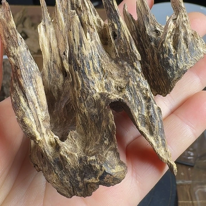 沉香沉香木制品秋*海南淳化吊齿12.85