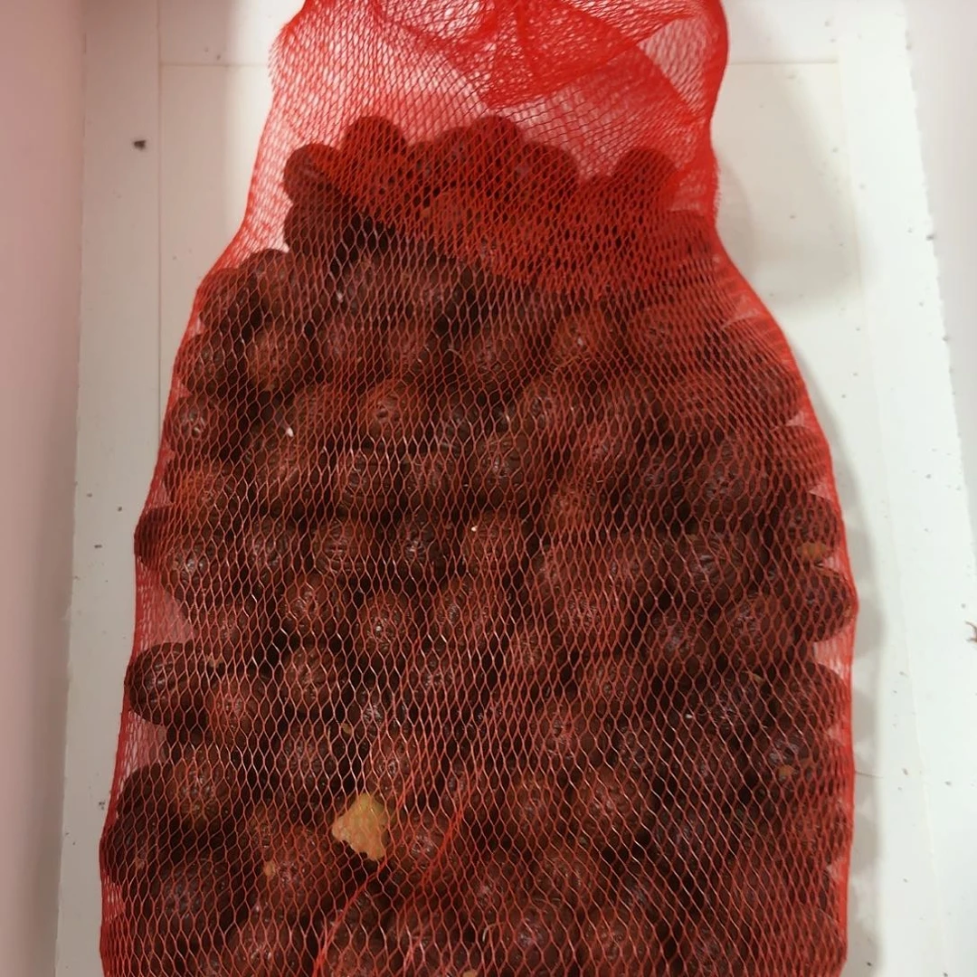 雪***白瓷片福利多多不来回