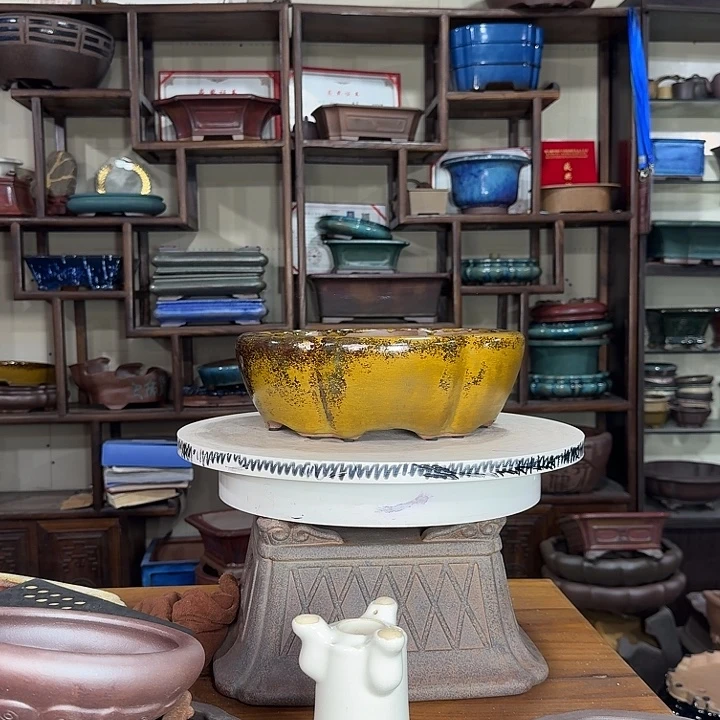 枫***伴紫砂花盆加奎紫砂花盆