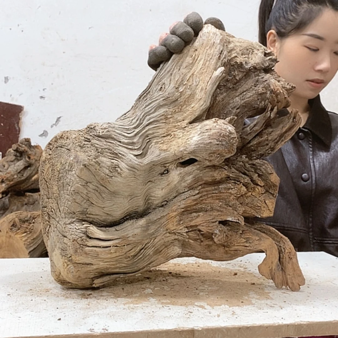 【闪购商品】柏木小*我们都是好孩子