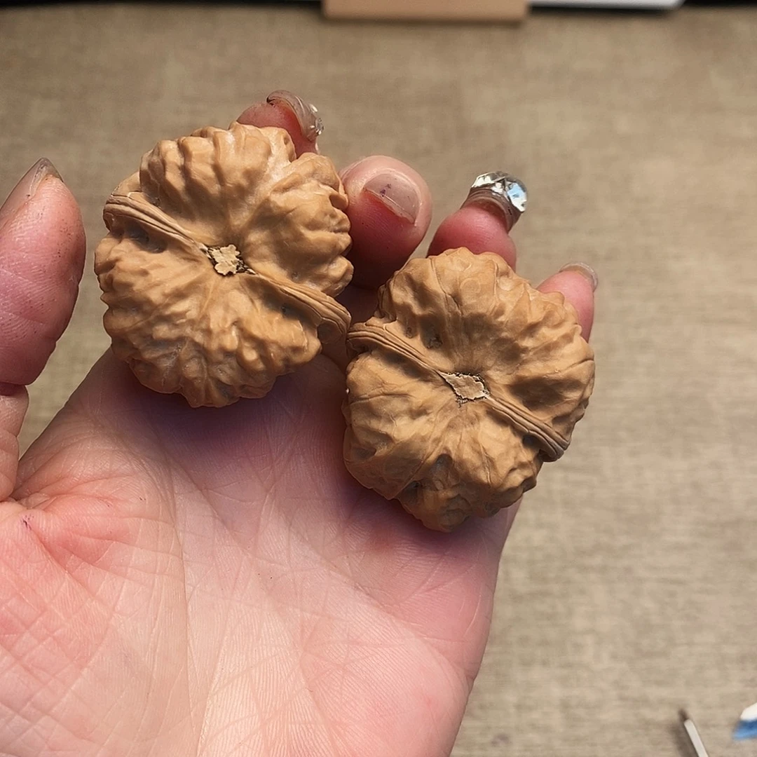 2***6大叶紫檀（黑酸枝木类）