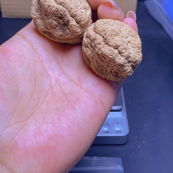 把件文玩核桃Y8-41mm微磕