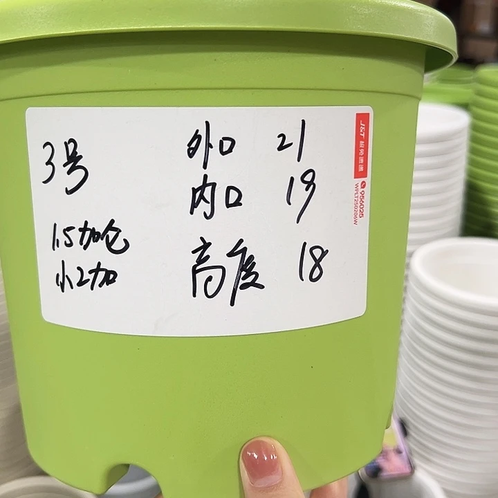 特价3四季口21高18白色无托10只