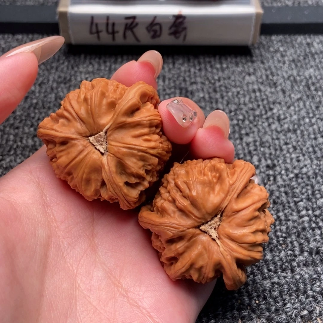 空***雨木质类白狮子正奔