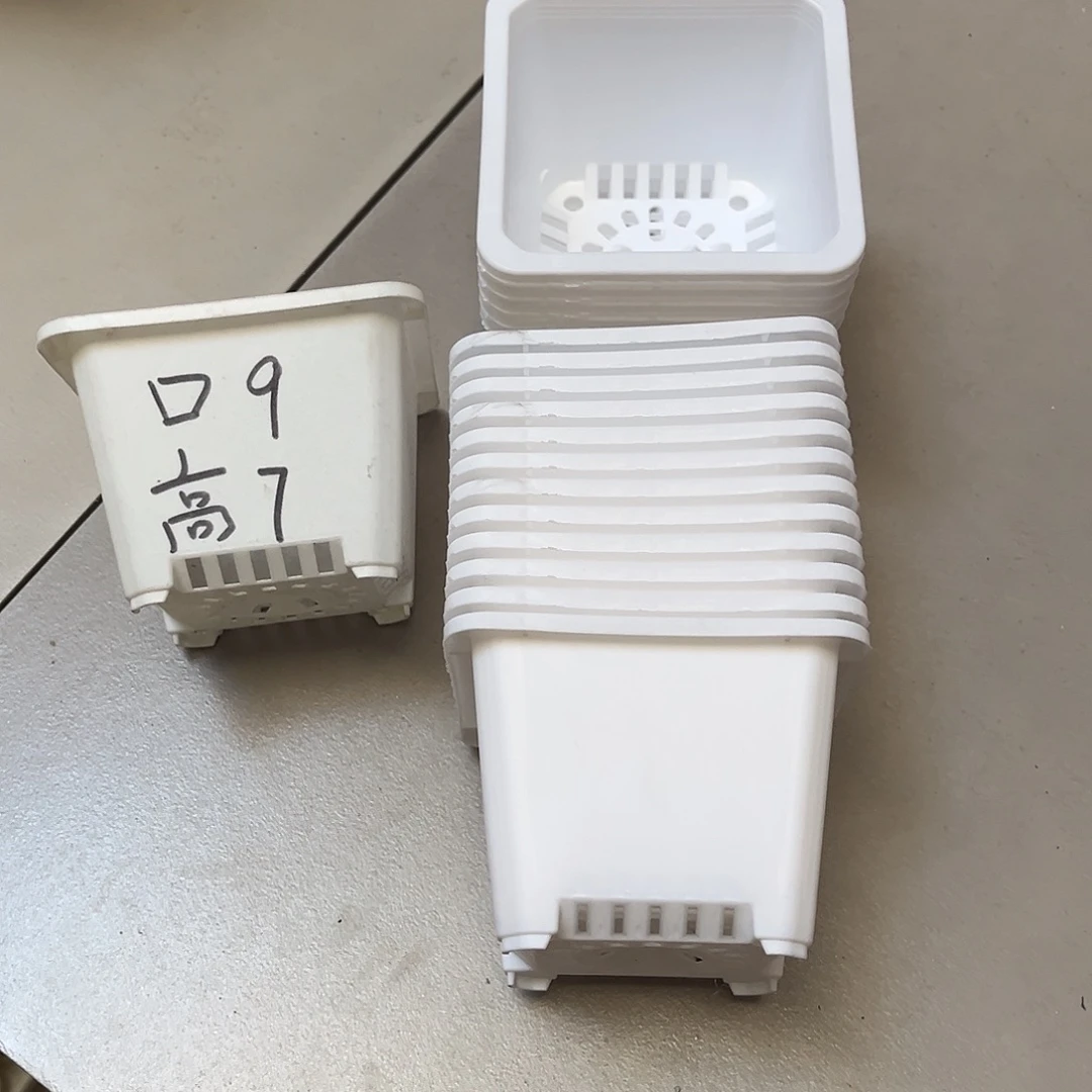 中厚口9高7白盆50个无托