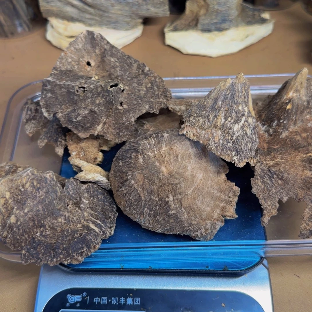 沉香碎屑沉香海南白木香99克