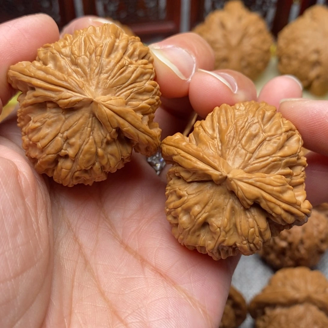 文玩核桃把件全品毕业白狮子40尺