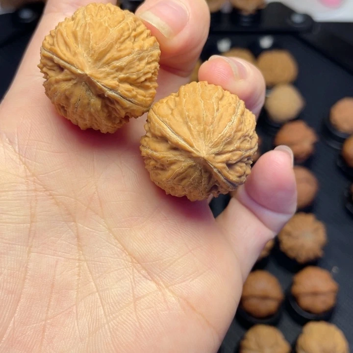 把件文玩核桃楸子红皮粗筋