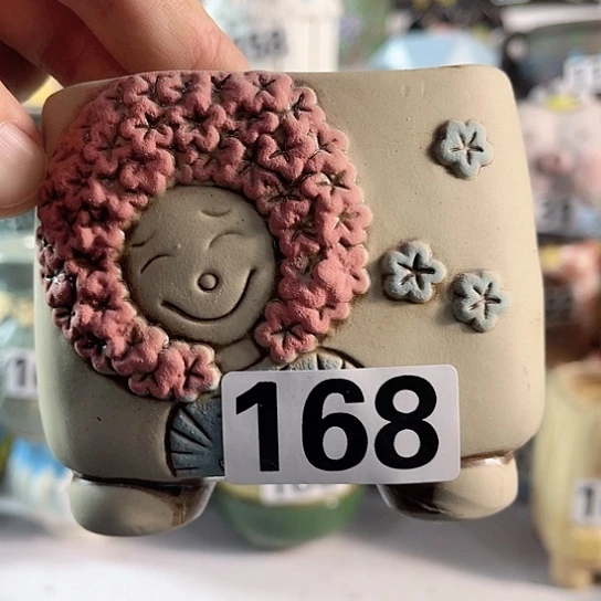 红陶多肉植物花盆