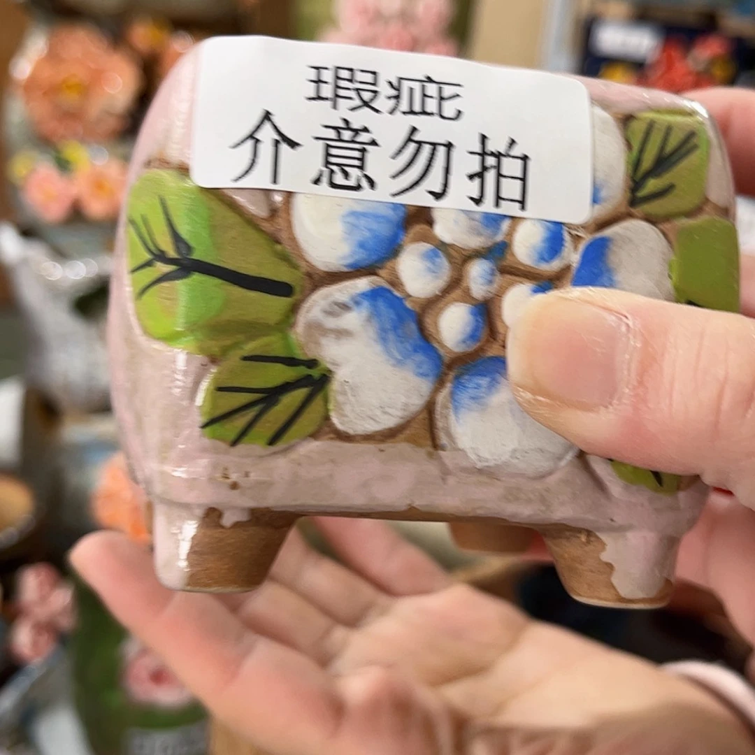 【闪购商品】红陶福利
