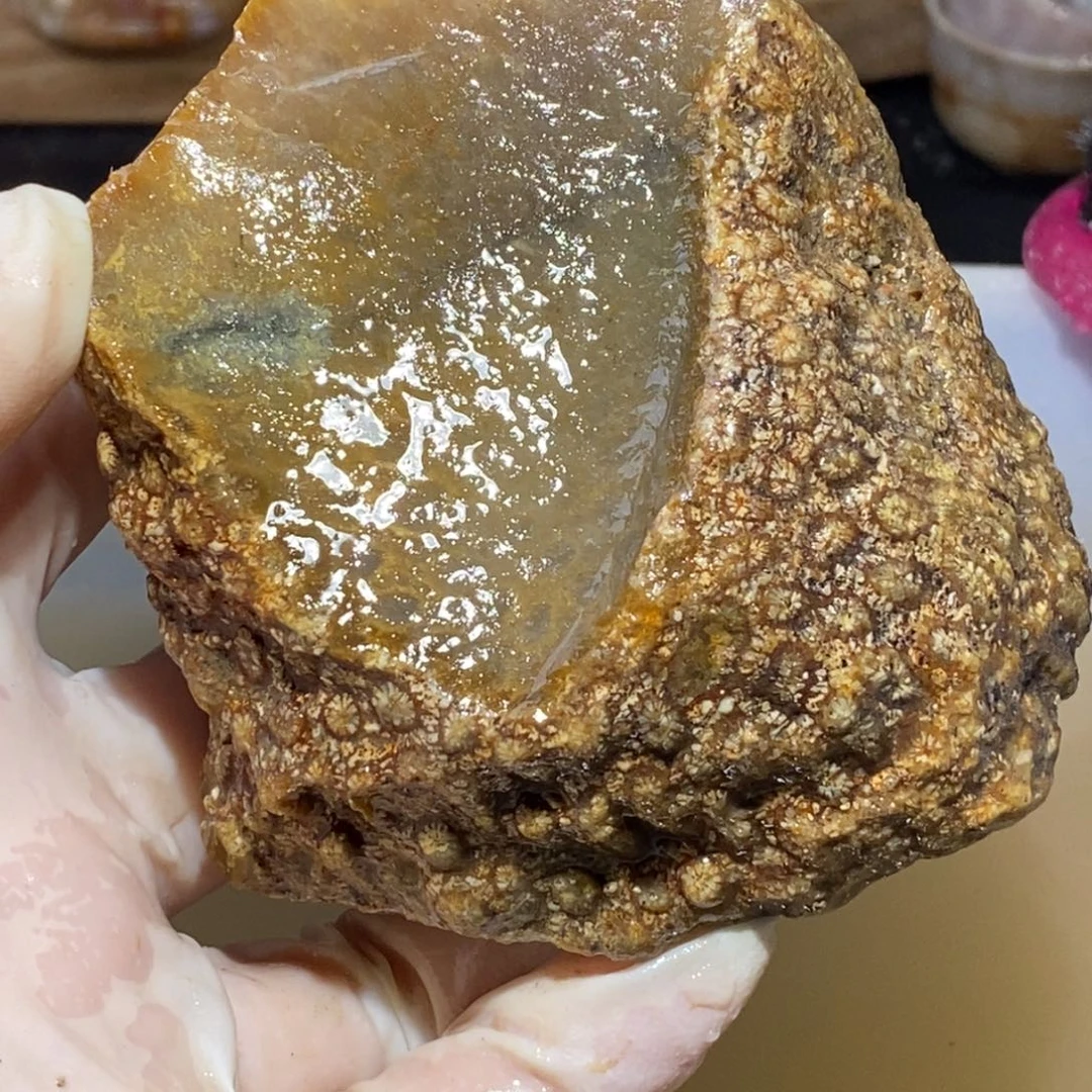 【闪购商品】硅化玉珊瑚玉未镶嵌