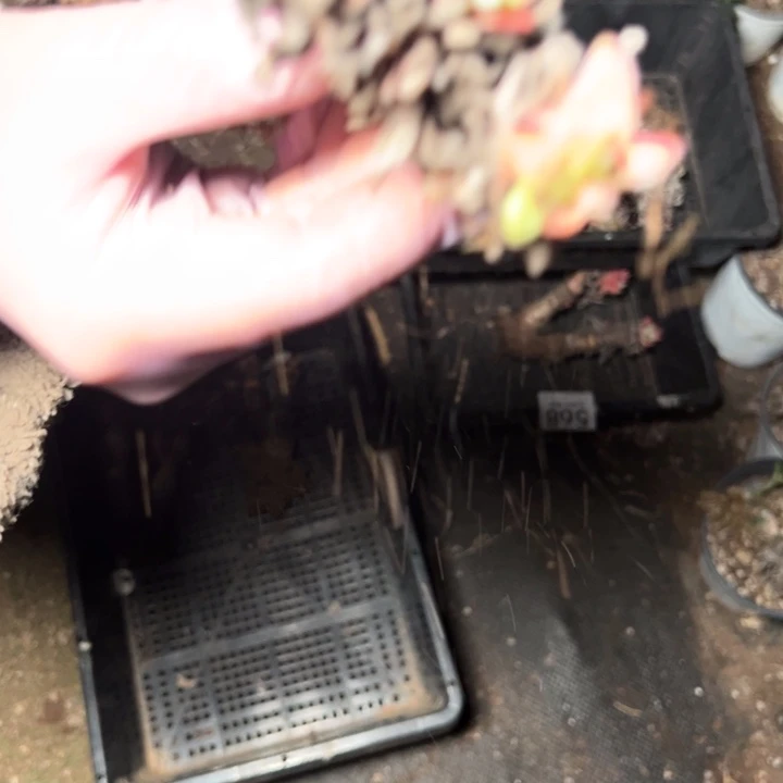 570哈哈哈哈哈哈哈，