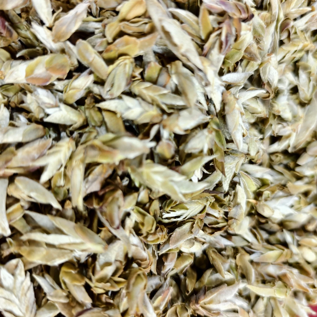 2021年勐库大雪山雪山精灵普洱茶生茶芽头100g