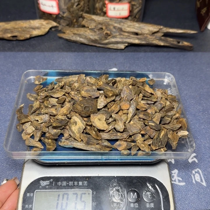 海**号海南白棋树丁107真