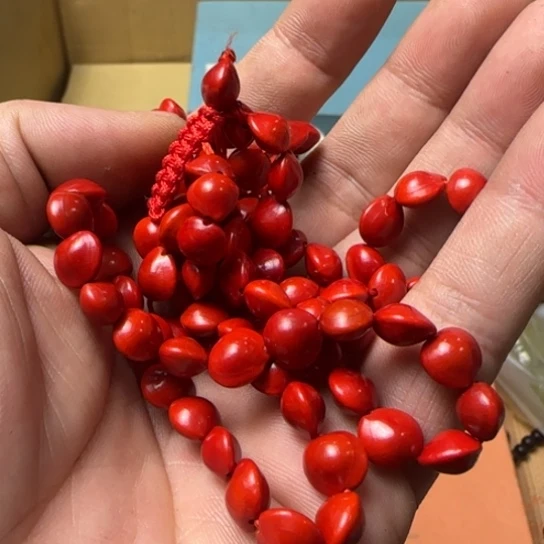 琛*如图所示所拍即所得