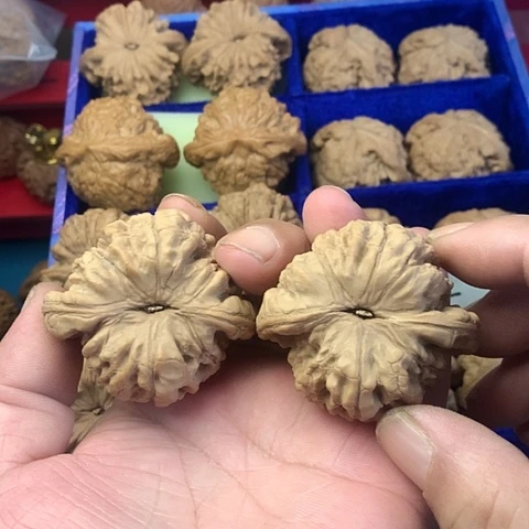 把件文玩核桃冰*凉55尺龟背大龙ho h