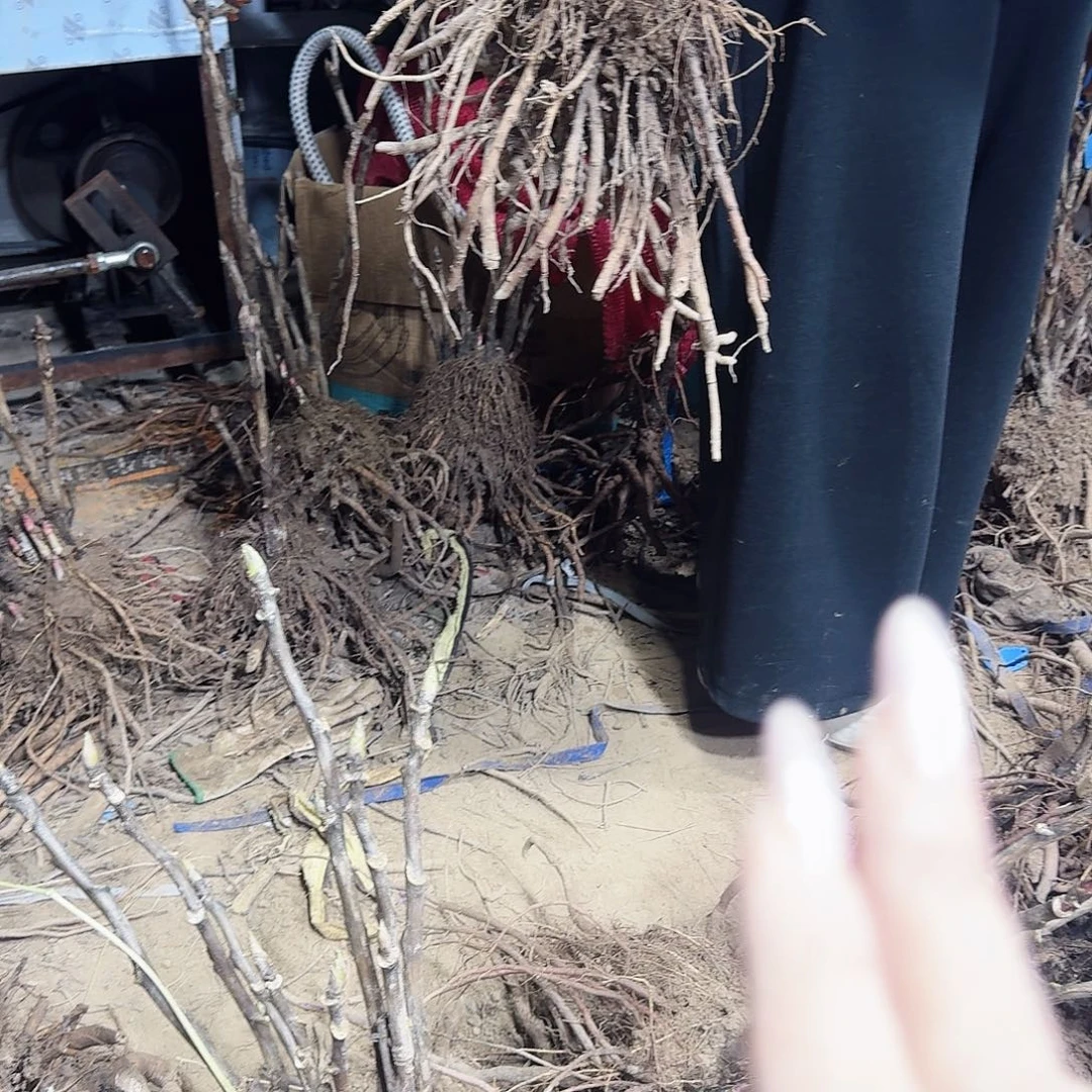 完全开放11111111111