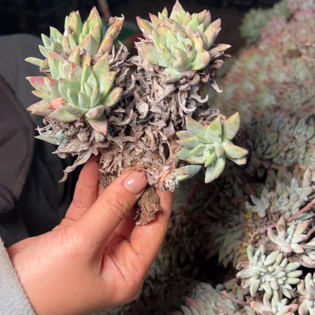 1873哈哈哈哈哈哈哈哈