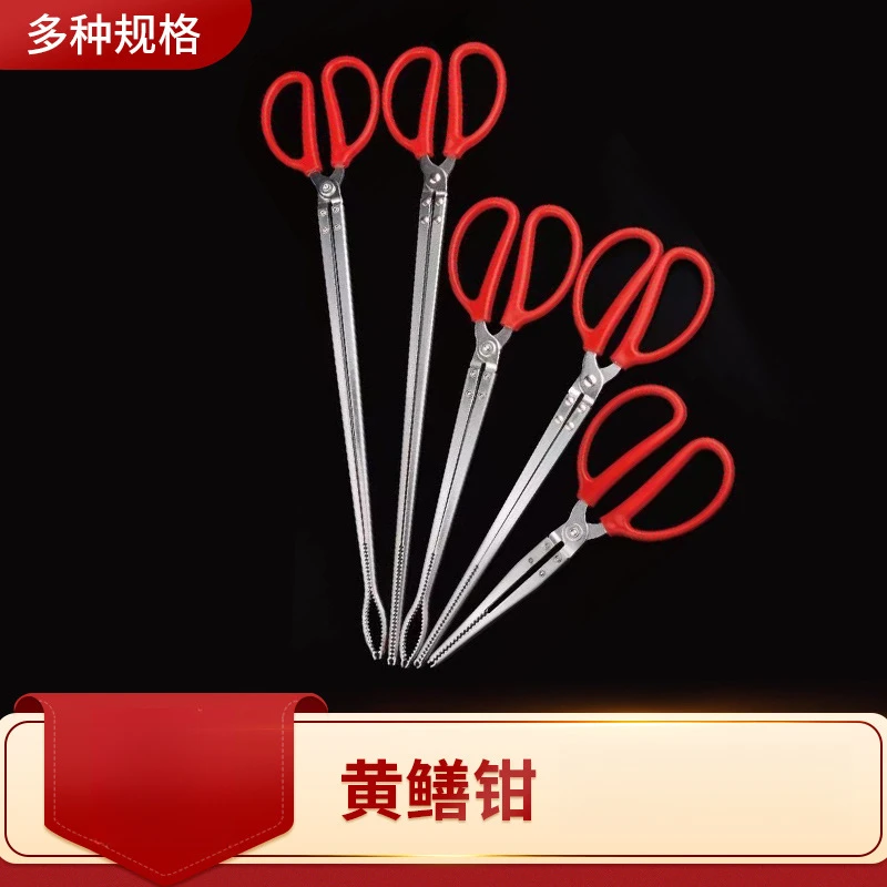 黄鳝夹子赶海加长龙虾钳黄鳝夹螃蟹泥鳅钳子控鱼器鳝鱼夹