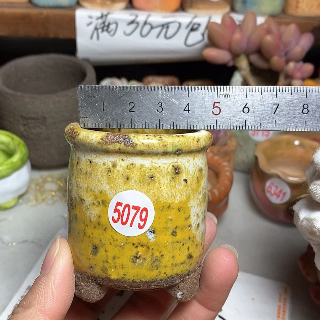 红陶拍5送一个小