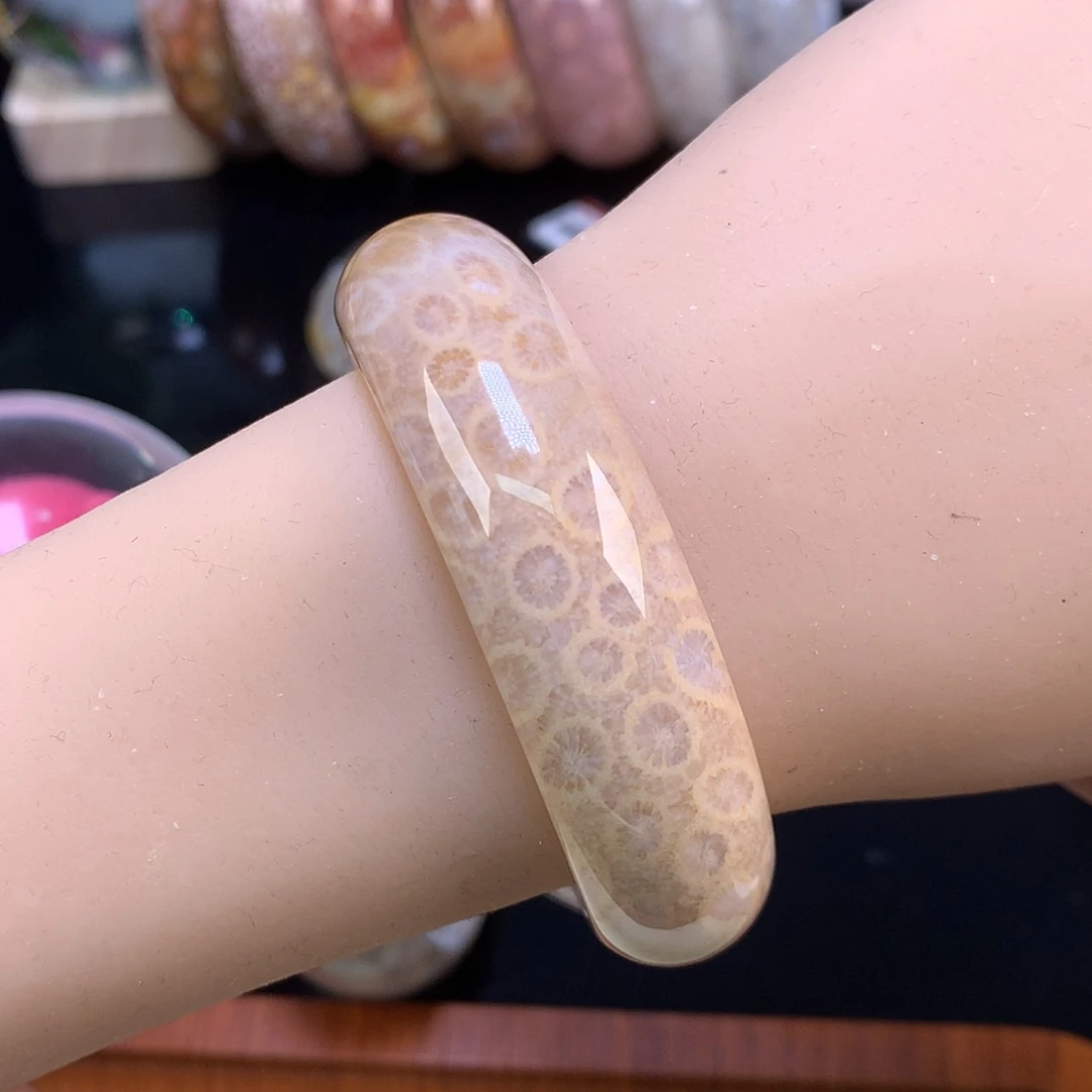 【闪购商品】颈饰未镶嵌硅化珊瑚（珊瑚玉）54号53.9圈温柔调～