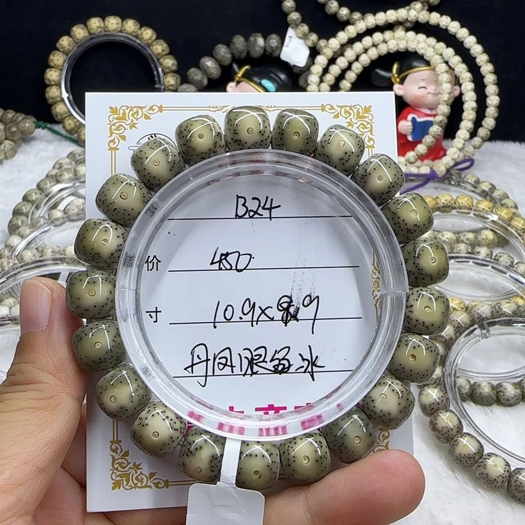 心月星月菩提一号B24