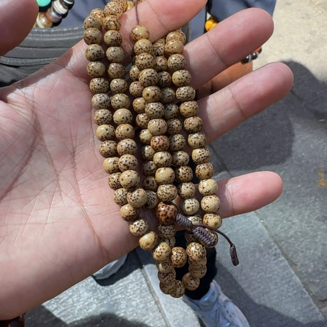 白玉菩提吊坠菩提树等树木