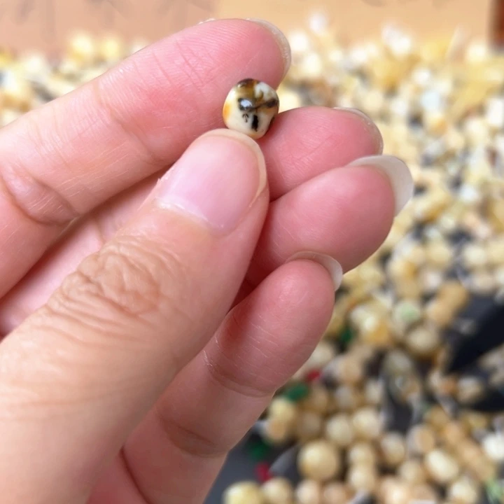 裸石蜜蜡未镶嵌7.5mm一个