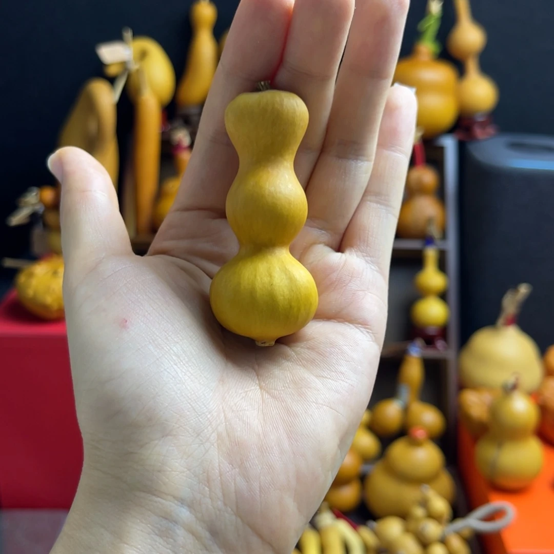 ****葫芦葫芦葫芦葫芦葫芦