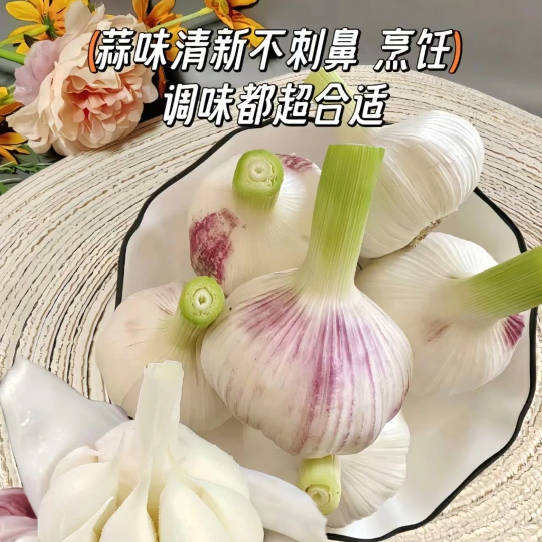 25山东新蒜湿蒜去皮吃肉吃面不烧心不辣口腌制糖醋蒜腊八蒜