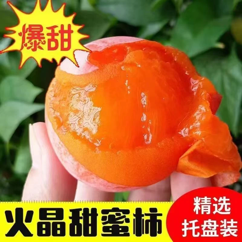 陕西临潼火晶柿子现摘现发新鲜应季水果红柿子整箱包邮软甜小柿子