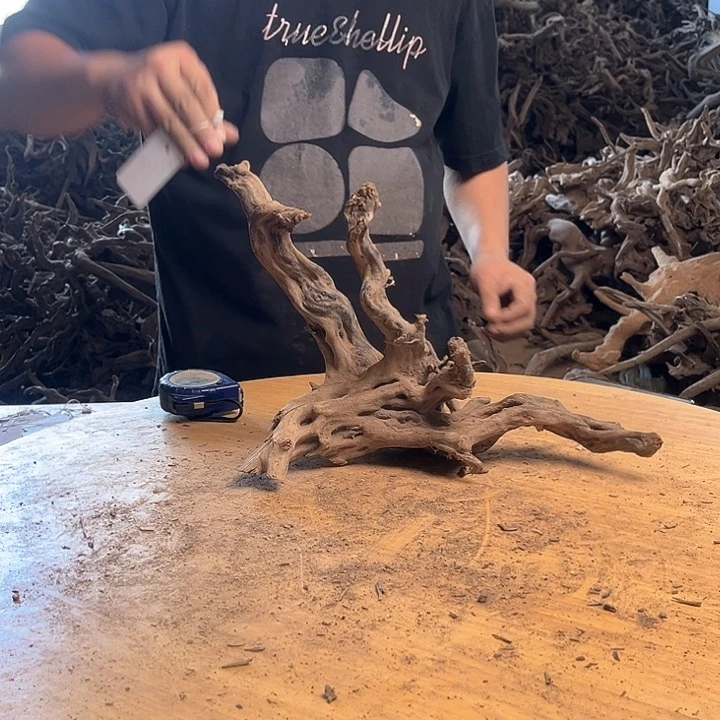 木鱼缸造景根雕157