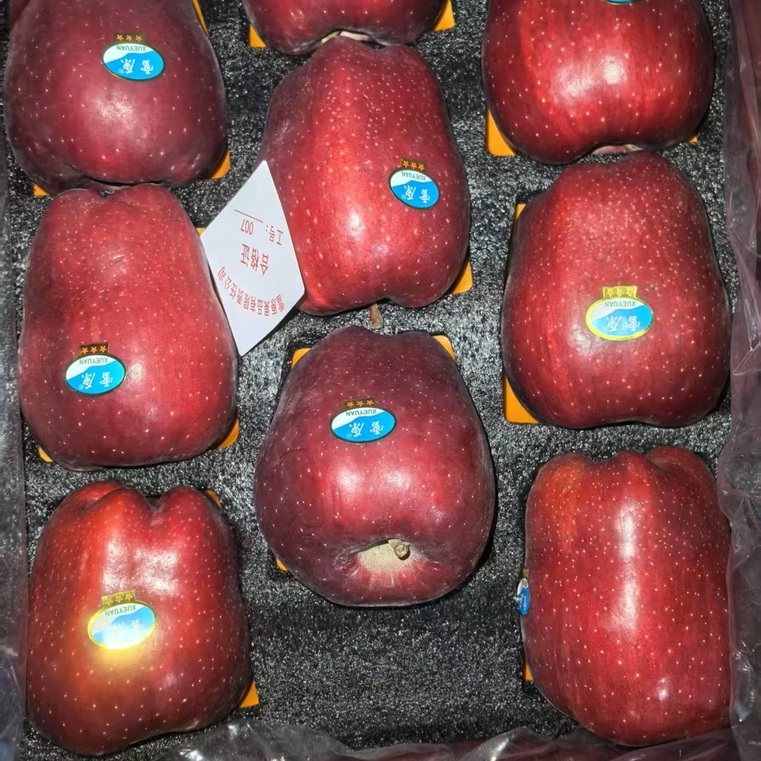 雪原花牛大果6颗4.5斤花牛苹果甘肃省