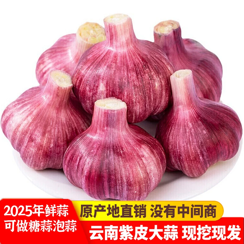 F2025年云南新鲜紫皮大蒜头分瓣蒜大蒜5斤湿大蒜糖醋蒜