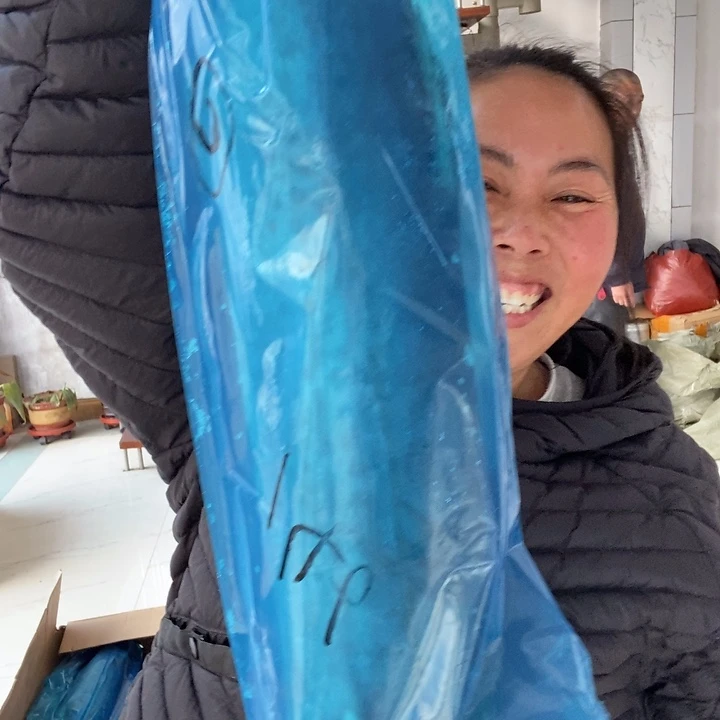 青***光中国大陆渤海湾野生燕鲅鱼3号