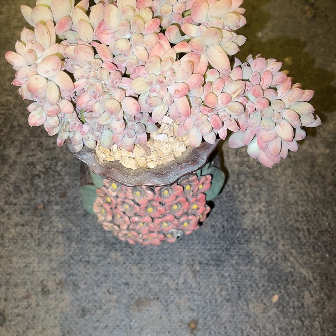 三日月美人朵朵缀