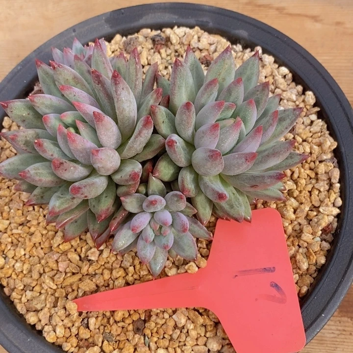 是吗这不还没有下班么