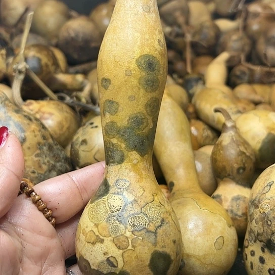 ꧁**꧂葫芦葫芦葫芦葫芦葫芦