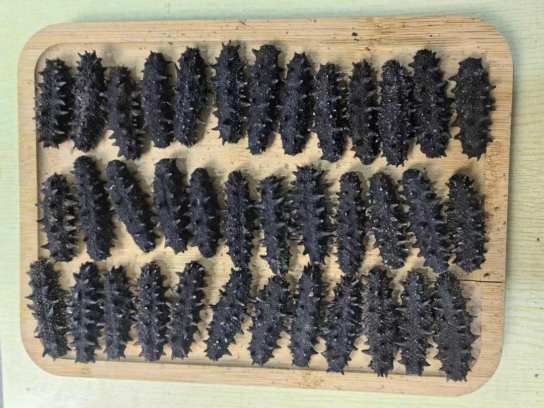 【自己吃岛里货】辽参大连海参辽刺参孩子一天一只120头左右/斤250G