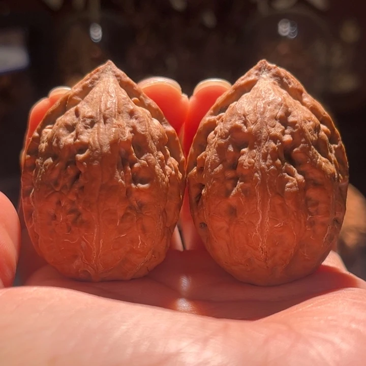 吊坠文玩核桃粗筋霸王龙1