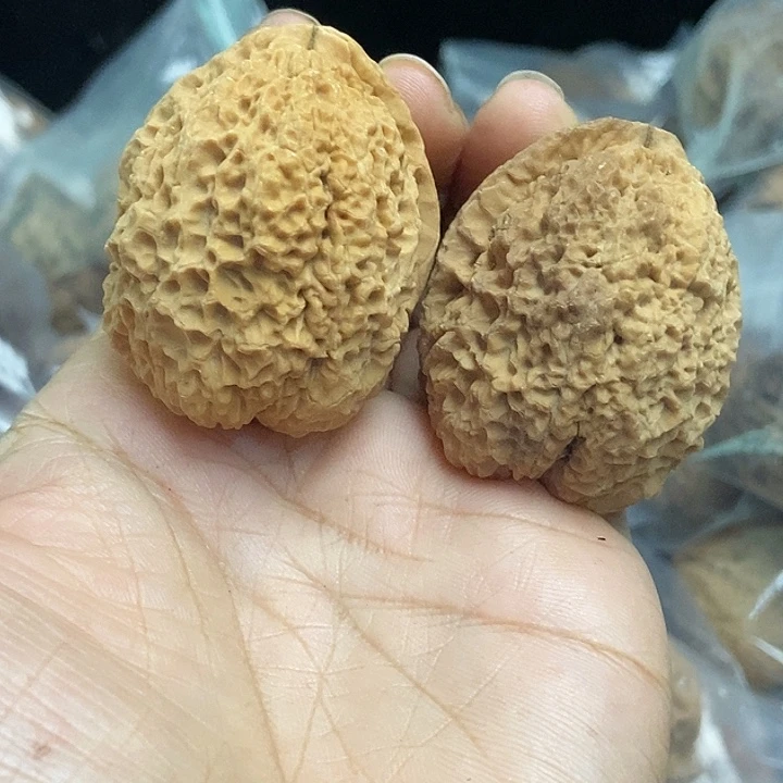 木质类云南铁核桃基地13