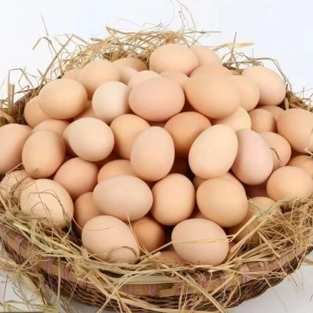 【共10枚/正宗土鸡蛋】包邮包售后